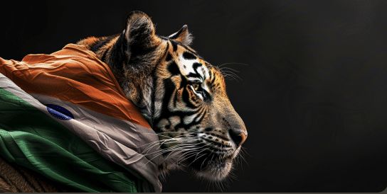 Investieren in Indien